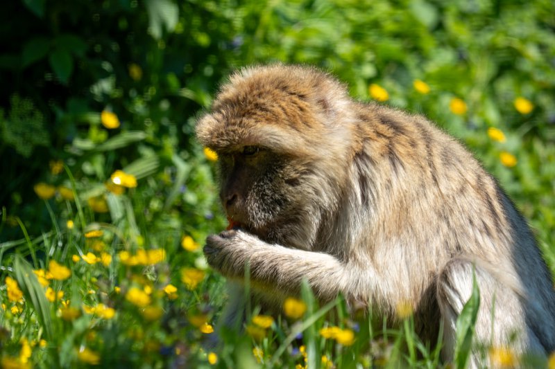 Fotografie Highlight